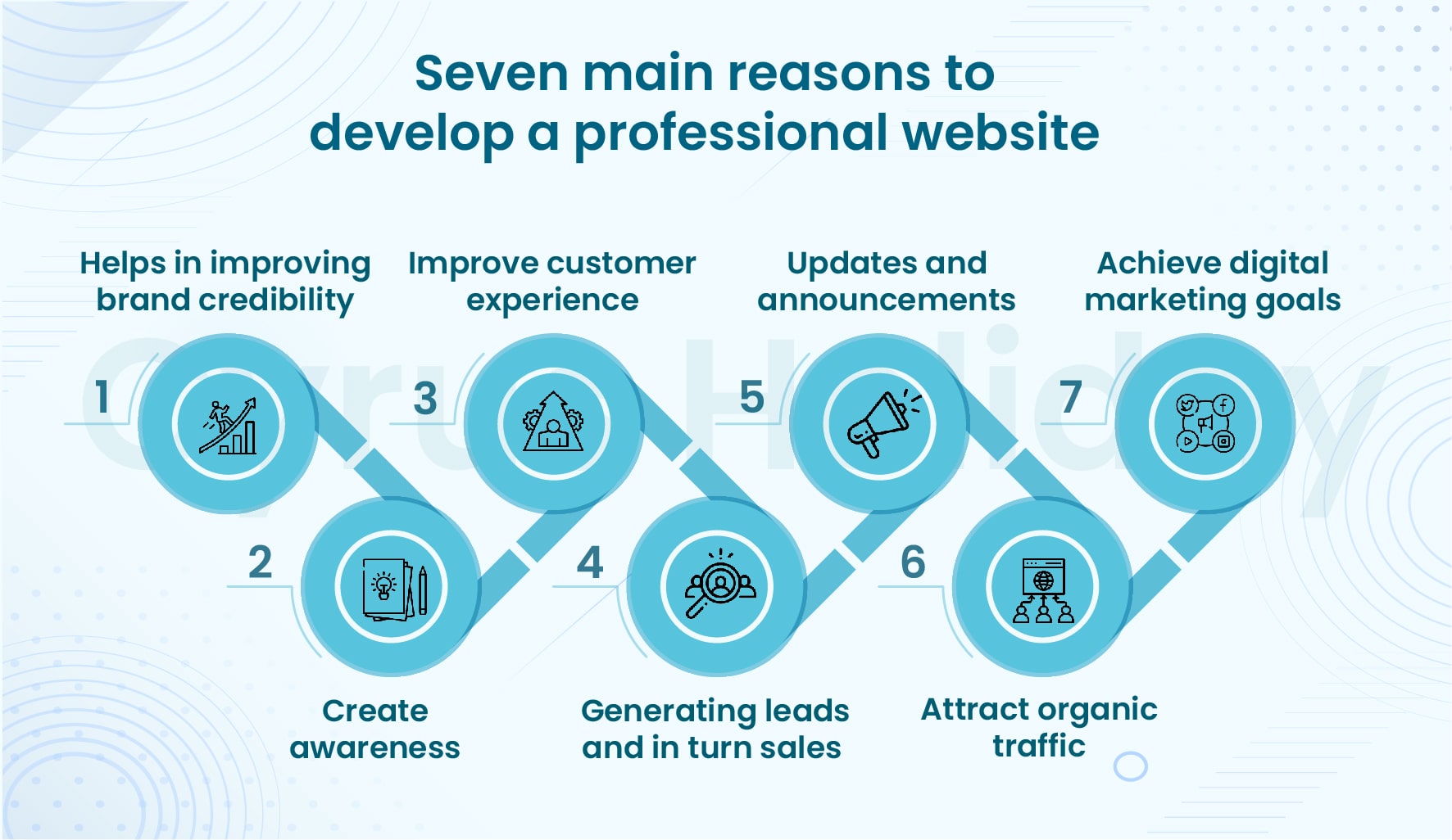 Seven main reasons to develop a professional website